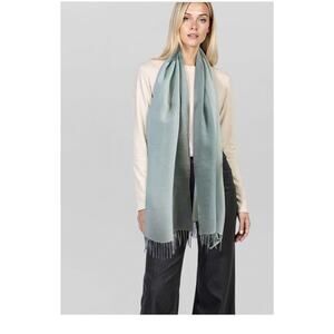Alicia Adams Alpaca Silk Scarf Teal/aqua Derby Wrap NWT $325